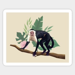 capuchin monkey tree branch Magnet